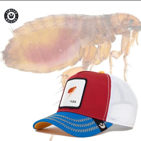 Goorin Bros Other - Goorin Bros - “Flea” Limited Edition